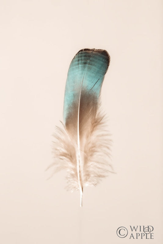 Reproduction of Floating Feathers IV by Nathan Larson - Wall Decor Art
