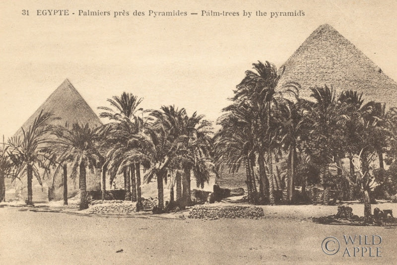 Egypt Postcard II