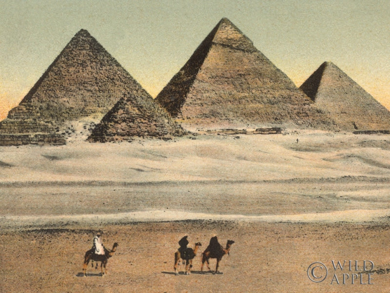 Reproduction of Cairo Pyramids Crop by Wild Apple Portfolio - Wall Decor Art