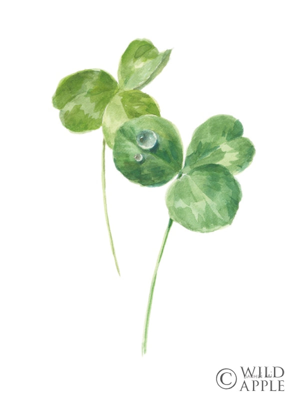 Reproduction of Lucky Clover I by Danhui Nai - Wall Decor Art