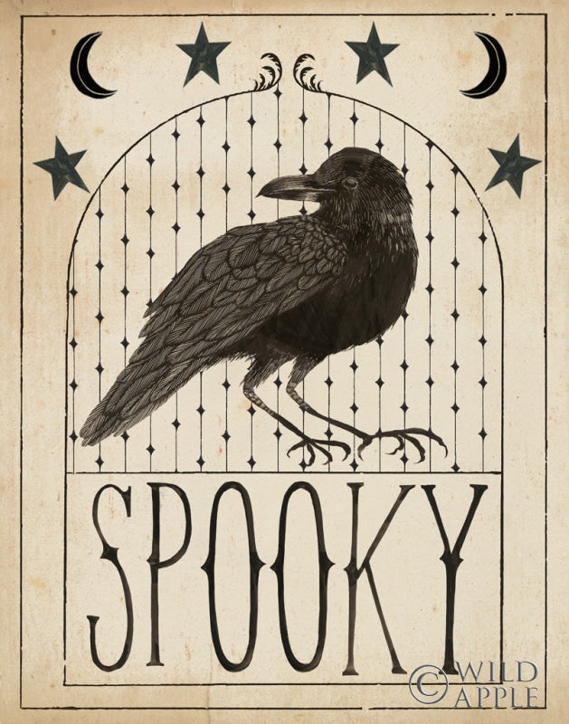 Reproduction of Hocus Pocus I Stars by Sara Zieve Miller - Wall Decor Art