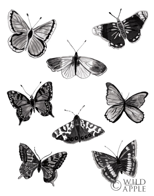 Reproduction of Nature Chart II BW No Words by Farida Zaman - Wall Decor Art