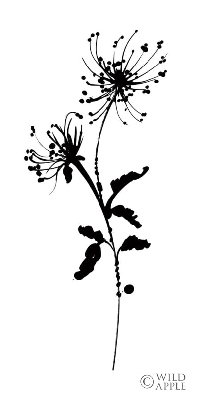 Reproduction of Silhouette Floral IV by Wild Apple Portfolio - Wall Decor Art