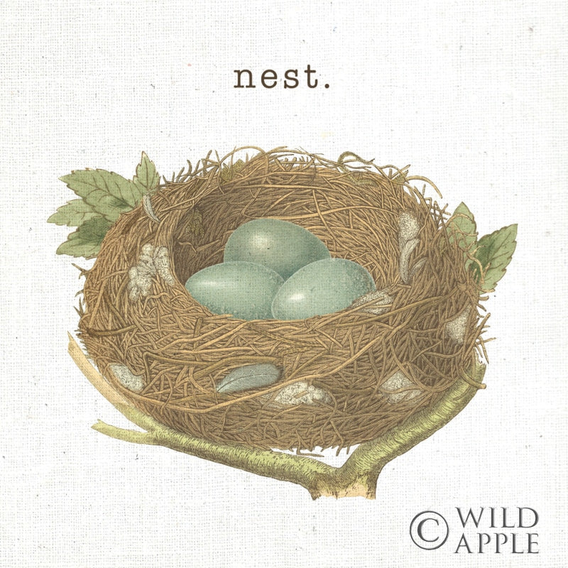 Spring Nest III Nest