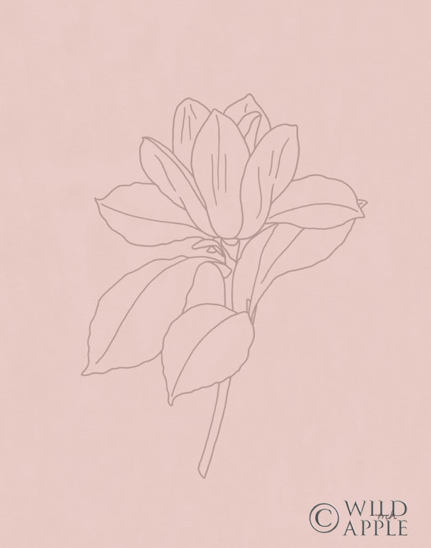 Reproduction of Magnolia Line Drawing Pink by Moira Hershey - Wall Decor Art