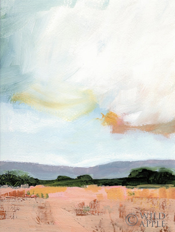 Reproduction of Sky Reflection by Pamela Munger - Wall Decor Art