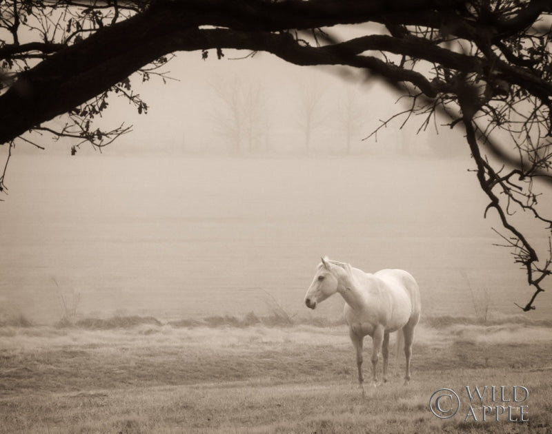 Reproduction of Hazy Horse II by Debra Van Swearingen - Wall Decor Art