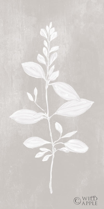 Reproduction of Botanical Study VIII Neutral by Julia Purinton - Wall Decor Art