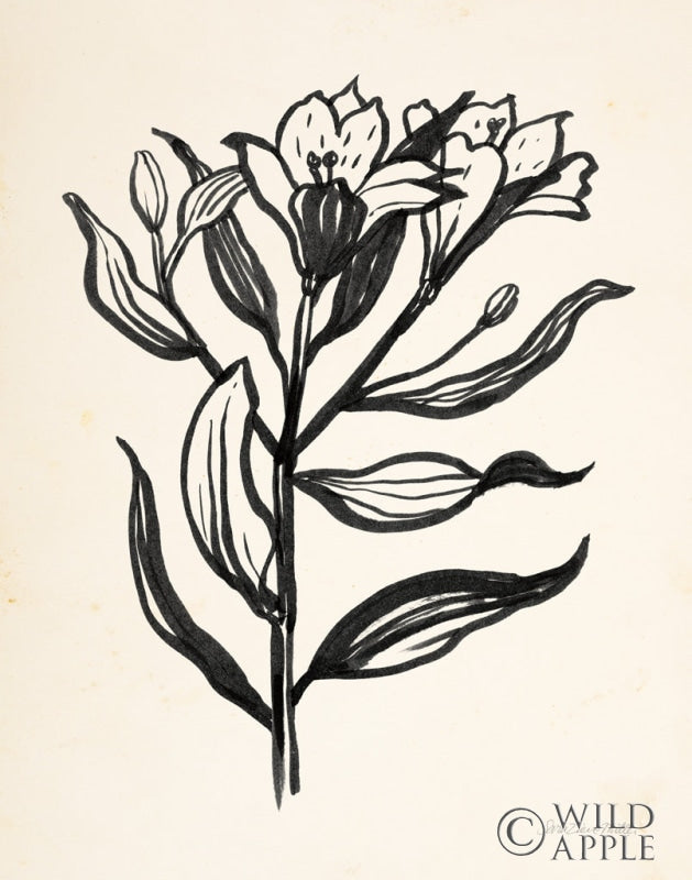 Reproduction of Ink Flower I Cream by Sara Zieve Miller - Wall Decor Art