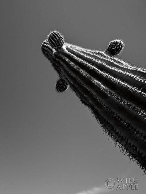 Reproduction of King II by Nathan Larson - Wall Decor Art