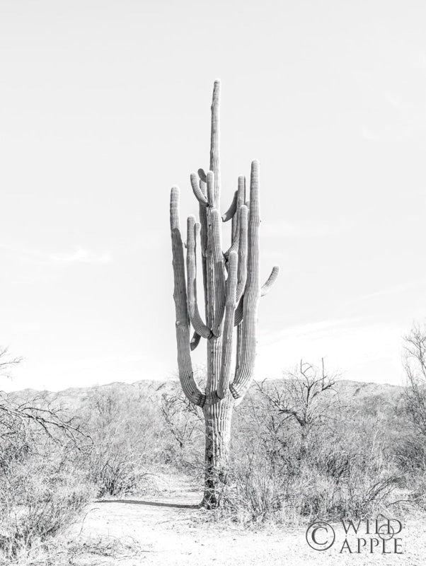 Reproduction of Standing Alone by Nathan Larson - Wall Decor Art