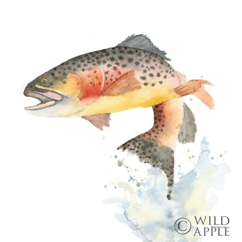 Reproduction of Cutthroat Trout by Kathy Ferguson - Wall Decor Art