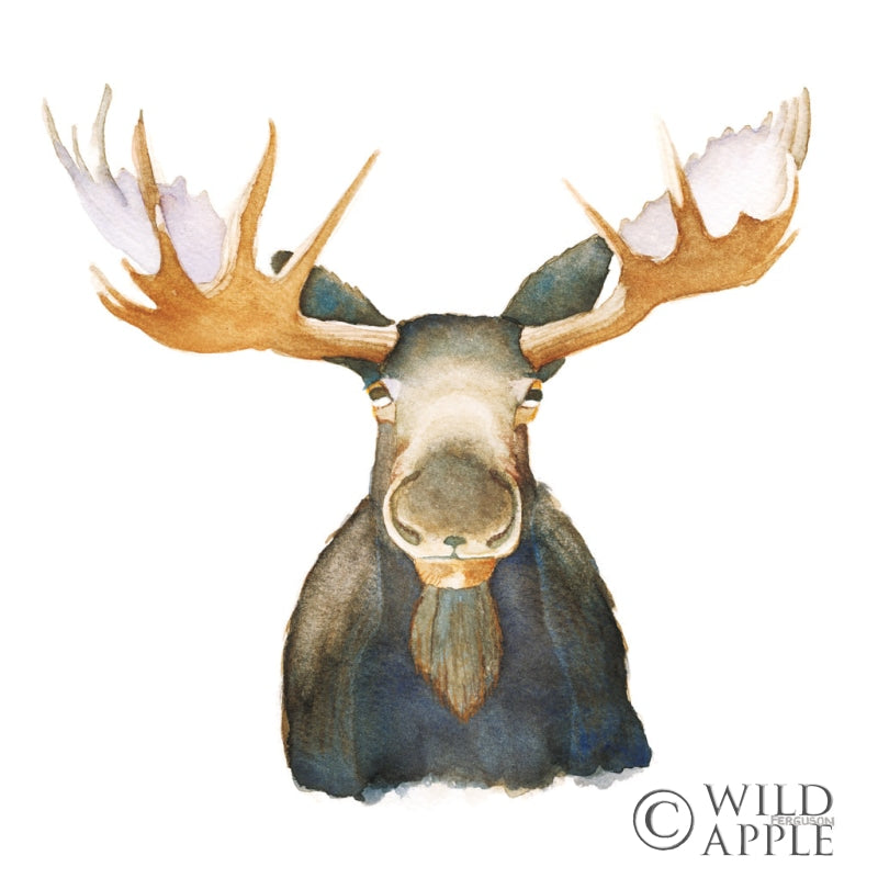 Reproduction of Moose by Kathy Ferguson - Wall Decor Art