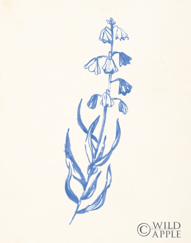 Reproduction of Bluebells II by Sara Zieve Miller - Wall Decor Art