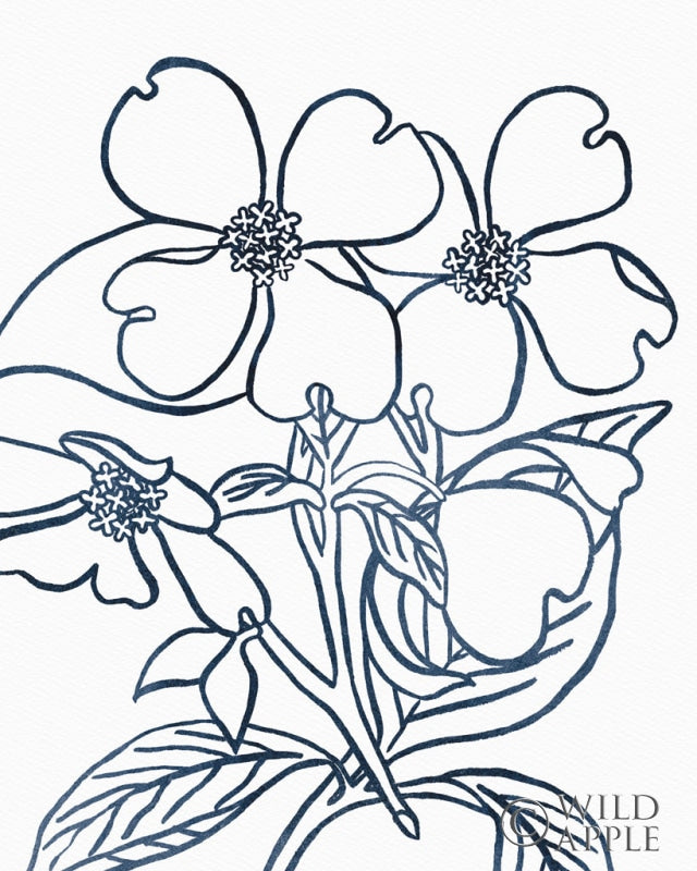 Reproduction of BW Blooms III by Wild Apple Portfolio - Wall Decor Art