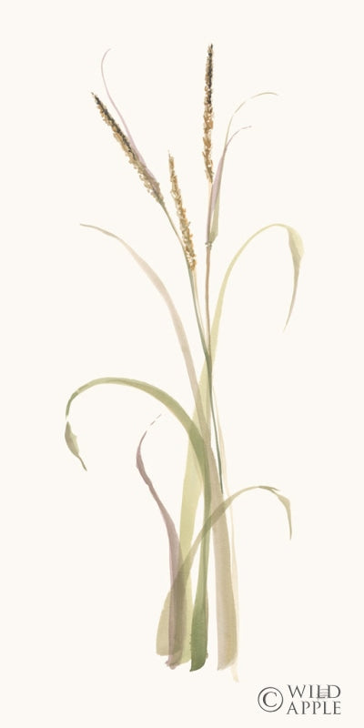 Reproduction of Lyme Grass by Chris Paschke - Wall Decor Art