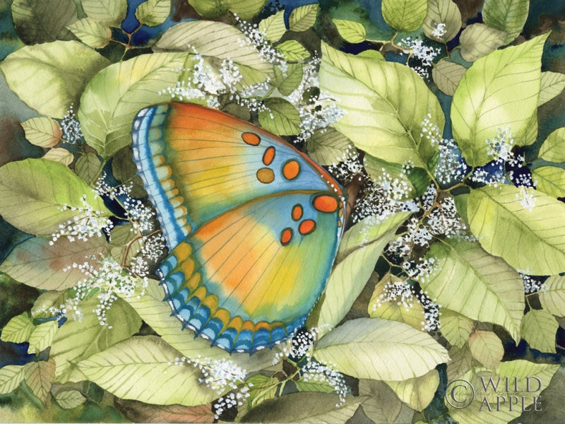 Reproduction of Royal Butterfly by Kathleen Parr McKenna - Wall Decor Art