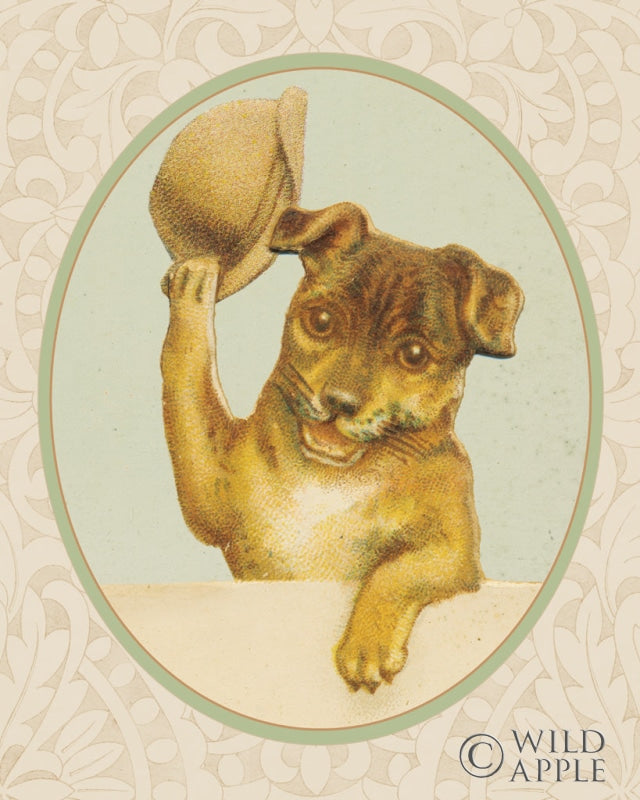 Reproduction of Dog with Hat II by Wild Apple Portfolio - Wall Decor Art