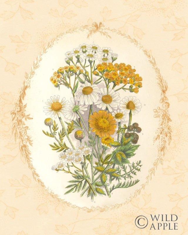 Reproduction of Gentle Soul Bouquet I by Wild Apple Portfolio - Wall Decor Art