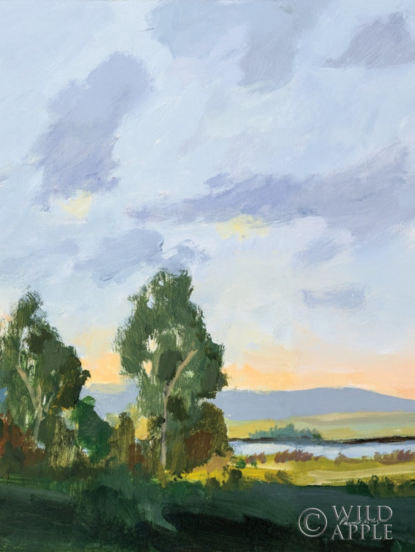 Reproduction of Evening Skies II by Pamela Munger - Wall Decor Art