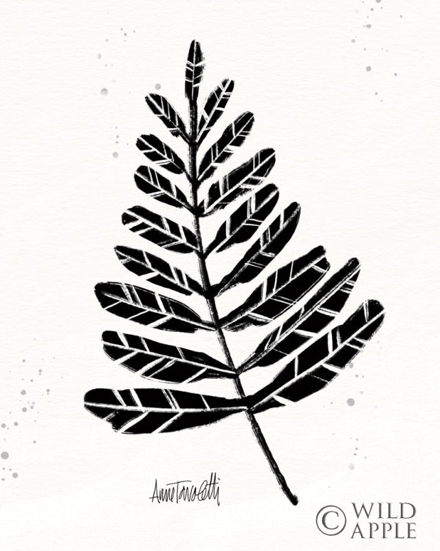 Reproduction of Botanical Sketches II by Anne Tavoletti - Wall Decor Art