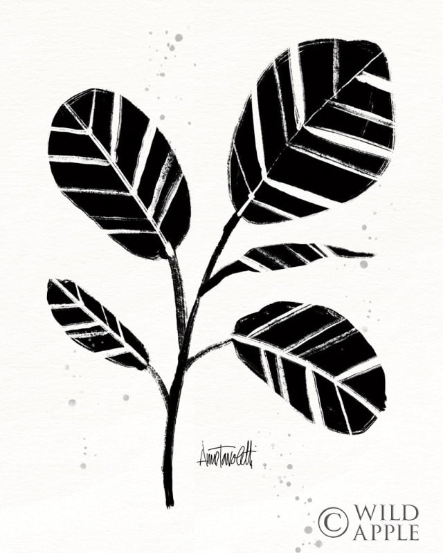 Reproduction of Botanical Sketches IV by Anne Tavoletti - Wall Decor Art