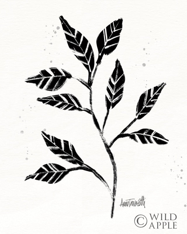 Reproduction of Botanical Sketches V by Anne Tavoletti - Wall Decor Art