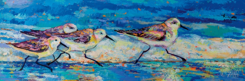 Reproduction of Racing Plovers by Jeanette Vertentes - Wall Decor Art