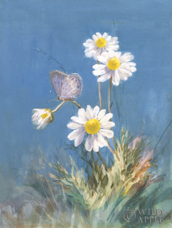 Reproduction of White Daisies by Danhui Nai - Wall Decor Art