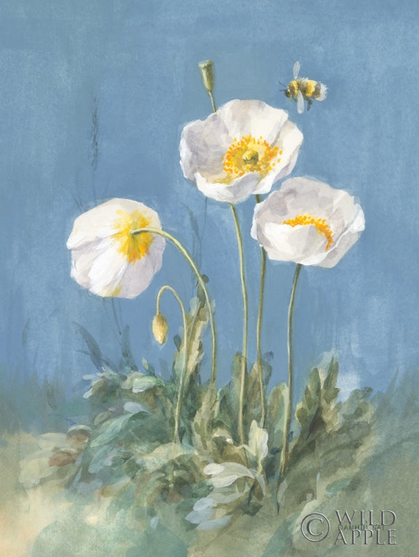 Reproduction of White Poppies II by Danhui Nai - Wall Decor Art
