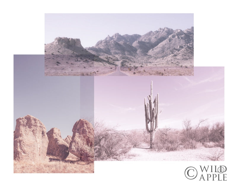 Reproduction of Desert Collage by Nathan Larson - Wall Decor Art