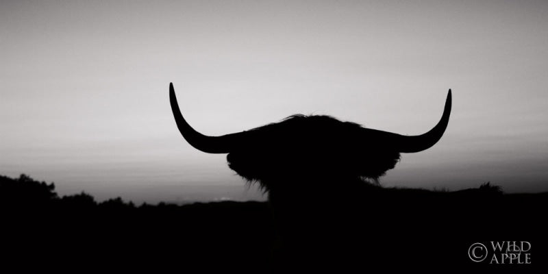 Reproduction of Bull Set BW Crop by Nathan Larson - Wall Decor Art