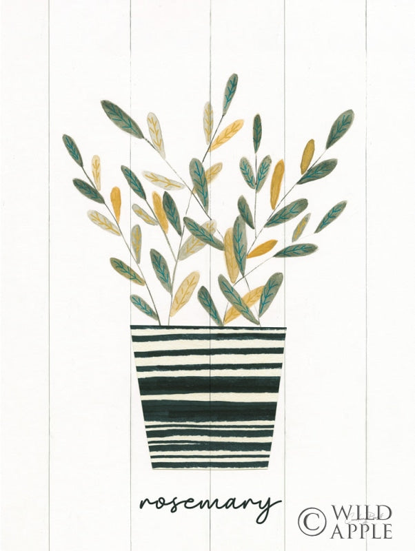 Reproduction of Herb Garden V by Courtney Prahl - Wall Decor Art