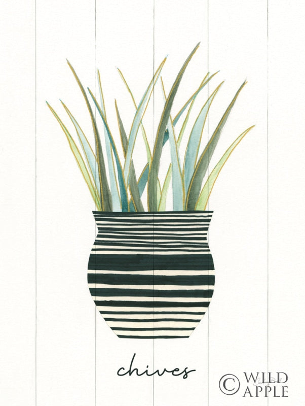 Reproduction of Herb Garden VI by Courtney Prahl - Wall Decor Art