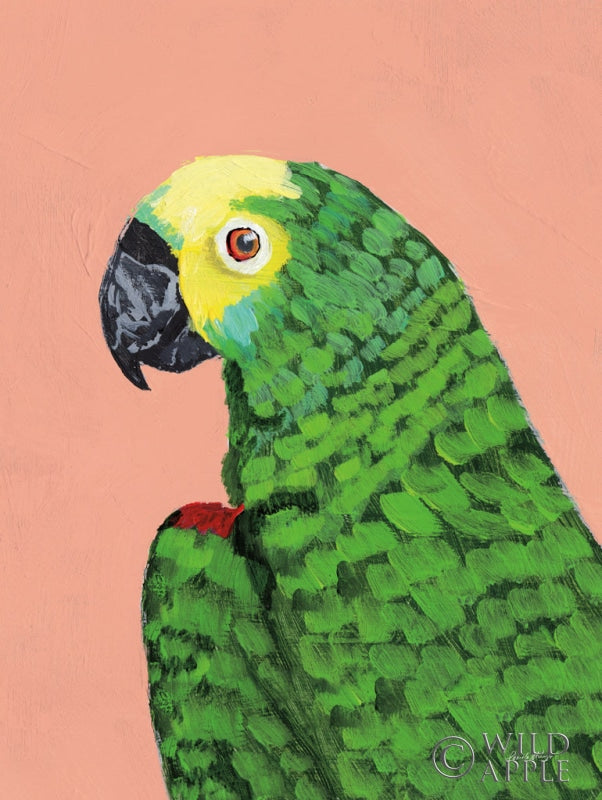Reproduction of Parrot Head by Pamela Munger - Wall Decor Art