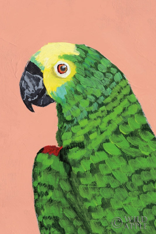 Reproduction of Parrot Head Crop by Pamela Munger - Wall Decor Art