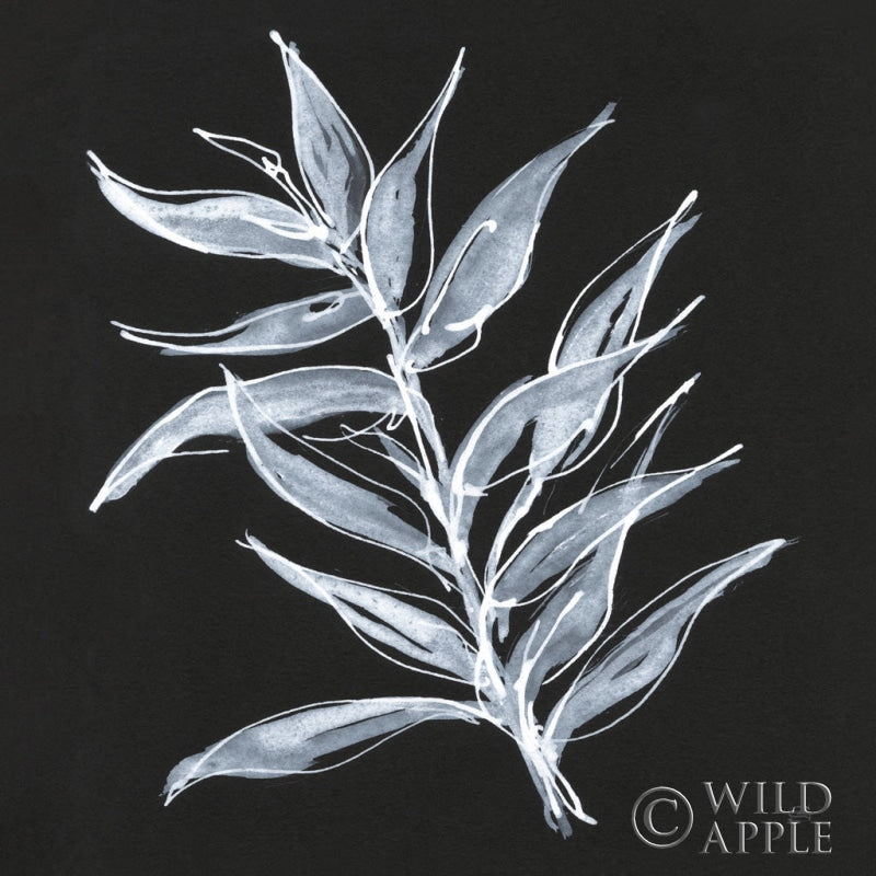 Reproduction of White Fern II by Chris Paschke - Wall Decor Art
