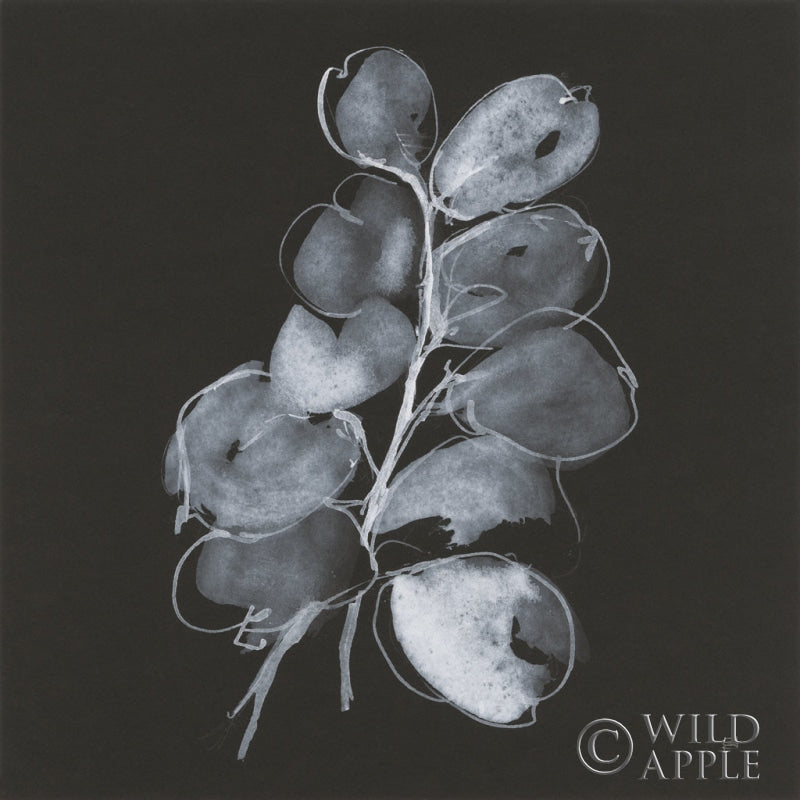 Reproduction of White Eucalyptus II by Chris Paschke - Wall Decor Art