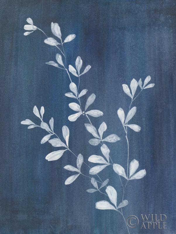 Reproduction of Simple Nature II by Danhui Nai - Wall Decor Art