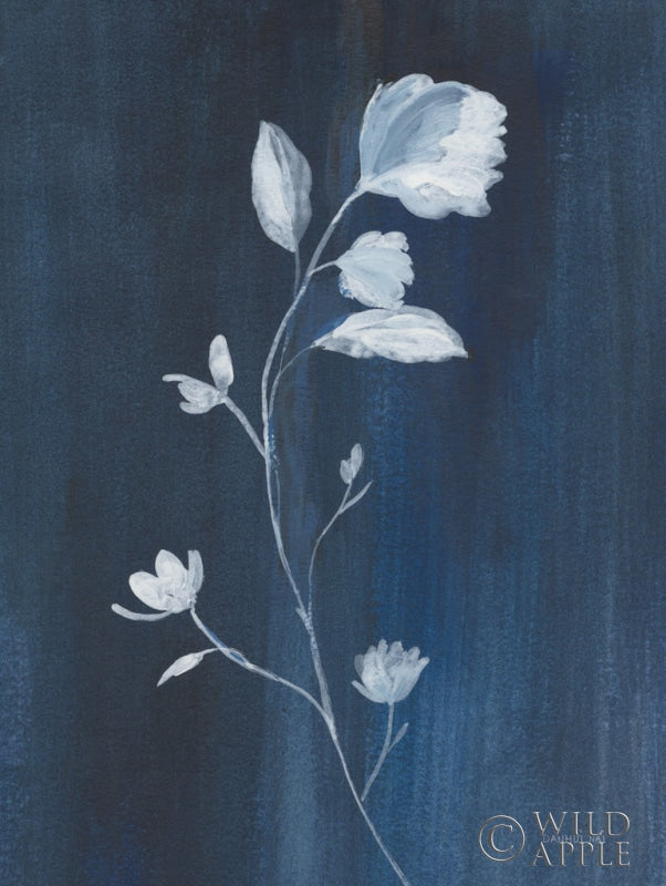 Reproduction of Simple Nature III by Danhui Nai - Wall Decor Art