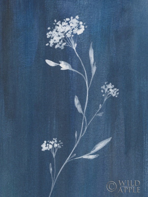 Reproduction of Simple Nature IV by Danhui Nai - Wall Decor Art
