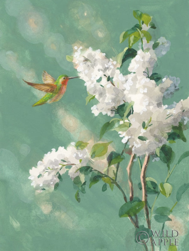 Reproduction of Hummingbird Spring I by Danhui Nai - Wall Decor Art
