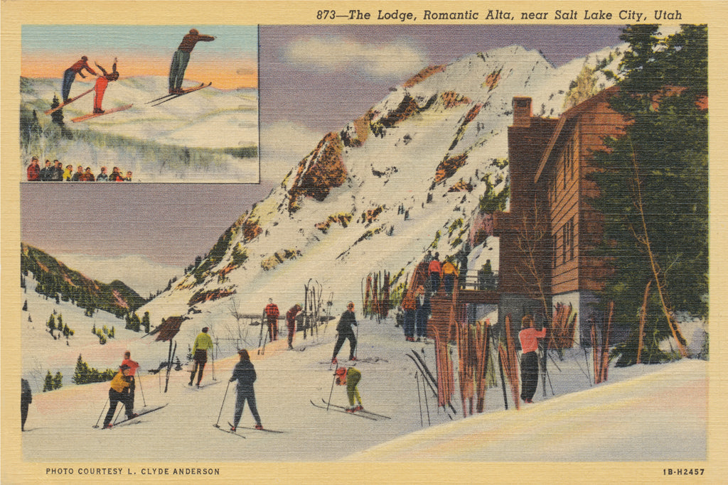 Skiing Ii Posters Prints & Visual Artwork
