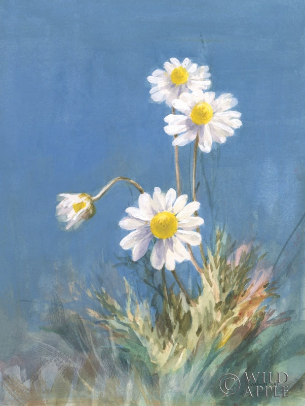 Reproduction of White Daisies No Butterfly by Danhui Nai - Wall Decor Art