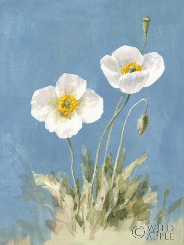 Reproduction of White Poppies I No Butterfly by Danhui Nai - Wall Decor Art