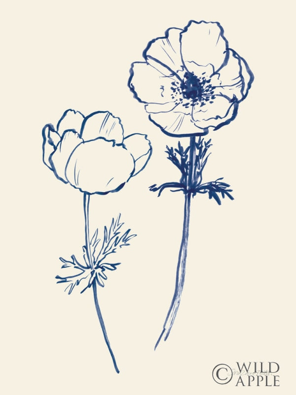 Reproduction of Ink Anemones II by Sara Zieve Miller - Wall Decor Art