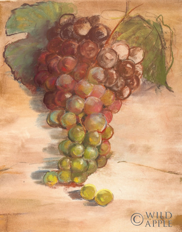Reproduction of Grape Harvest II No Label by Carol Rowan - Wall Decor Art