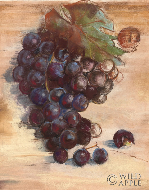 Reproduction of Grape Harvest III No Label by Carol Rowan - Wall Decor Art