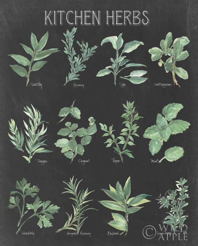 Reproduction of Kitchen Herb Chart on Black I by Chris Paschke - Wall Decor Art