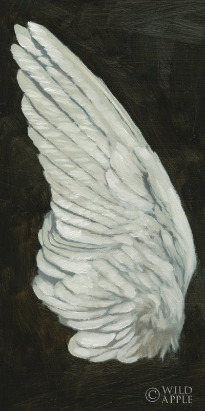 Reproduction of Wings II by James Wiens - Wall Decor Art